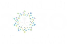 رؤية السعودية 2030